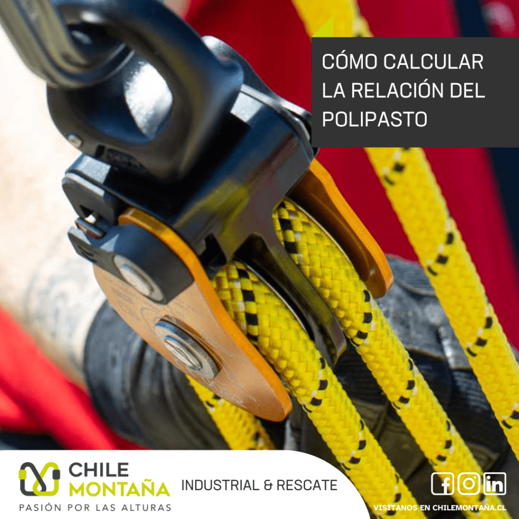 chilemontana-1 1