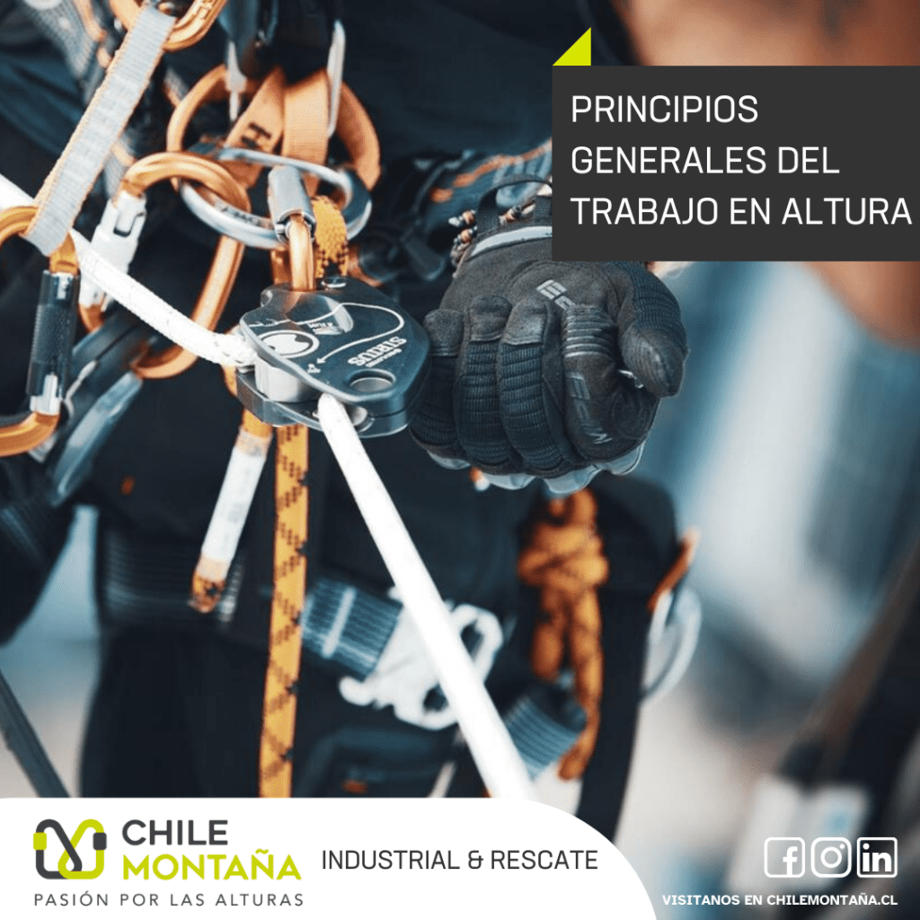 chilemontana-3 1