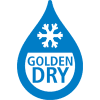 chilemontana-logo golden