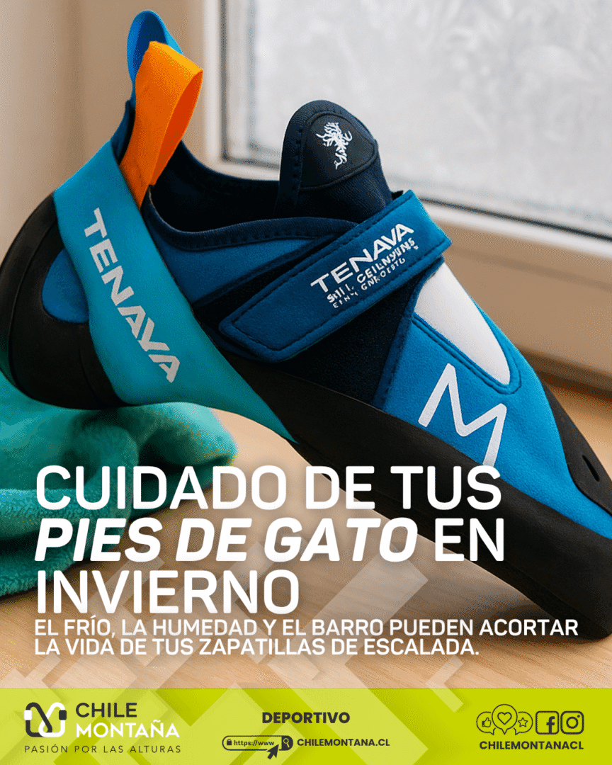 chilemontana-08 08 2025 1