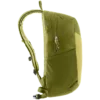 chilemontana-3410125 1206 SpeedLite17 linden cactus D 02