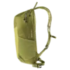 chilemontana-3410125 1206 SpeedLite17 linden cactus D 04