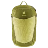 chilemontana-3410225 1206 SpeedLite21 linden cactus D 05