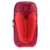 chilemontana-3421024 5598 ACLite30 cherry masala D 05 1920x1920
