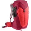 chilemontana-3421024 5598 ACLite30 cherry masala D 10 1920x1920