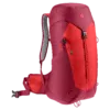 chilemontana-3421024 5598 ACLite30 cherry masala D 12 1920x1920