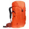 chilemontana-3611024 9513 Climber22 papaya redwood D 08 1920x1920