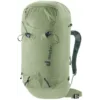 chilemontana-3360326 1214 GuideLite30 grove ivy D 00 1