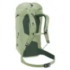 chilemontana-3360326 1214 GuideLite30 grove ivy D 03