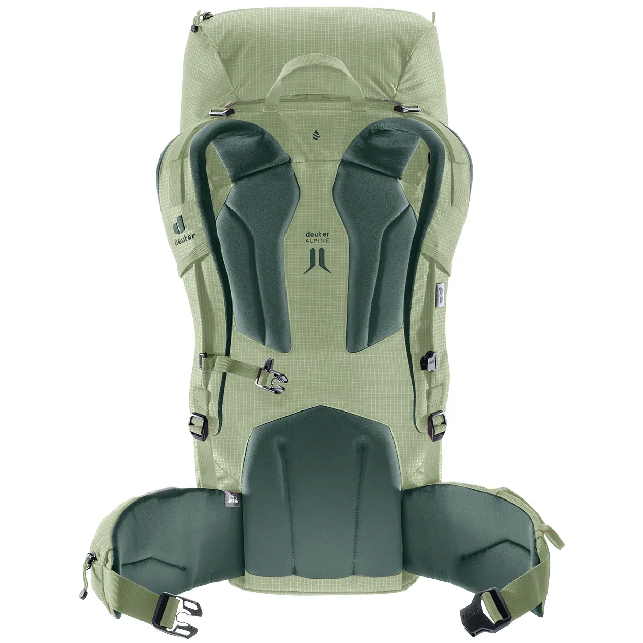 Mochila Guide 34 + 6 grove-ivy DEUTER - Imagen 4